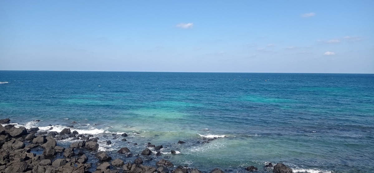 20251029_120448.jpg