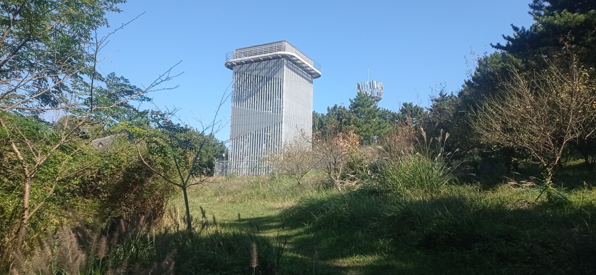 20251029_124445.jpg