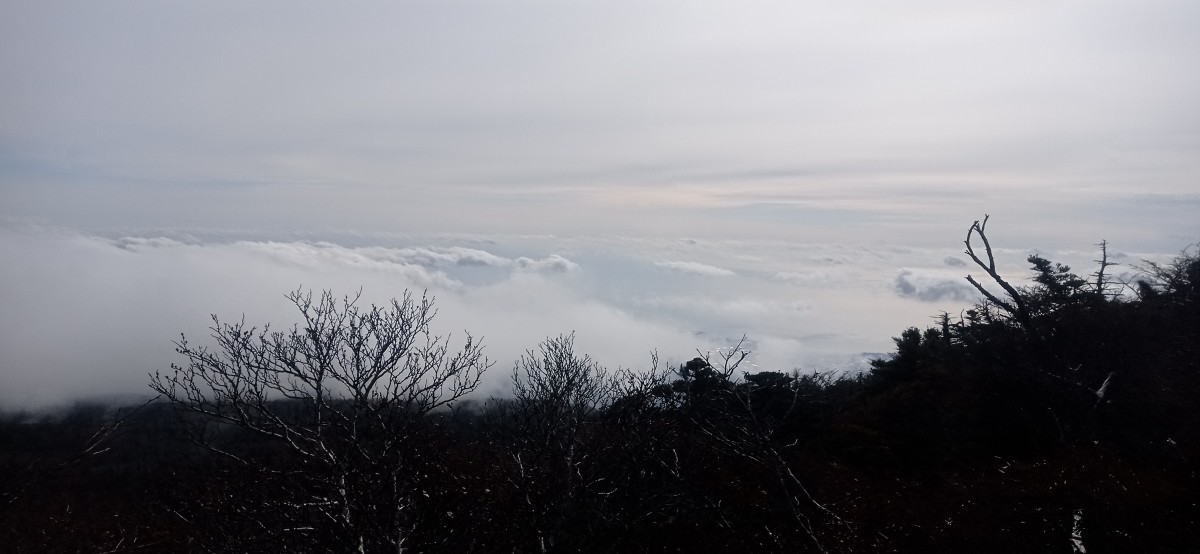 20251030_101706.jpg