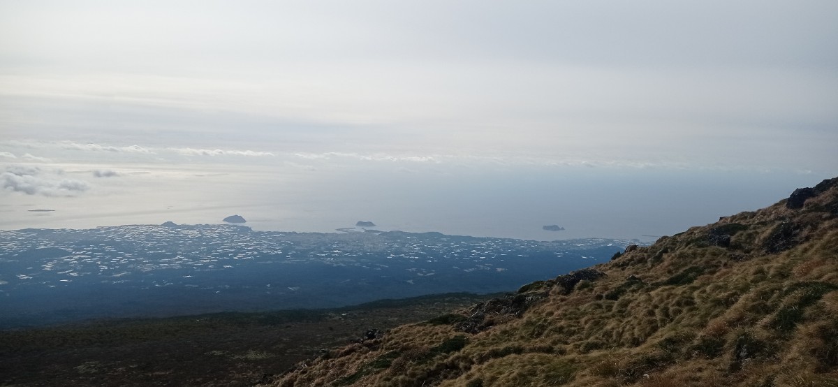 20251030_102818.jpg
