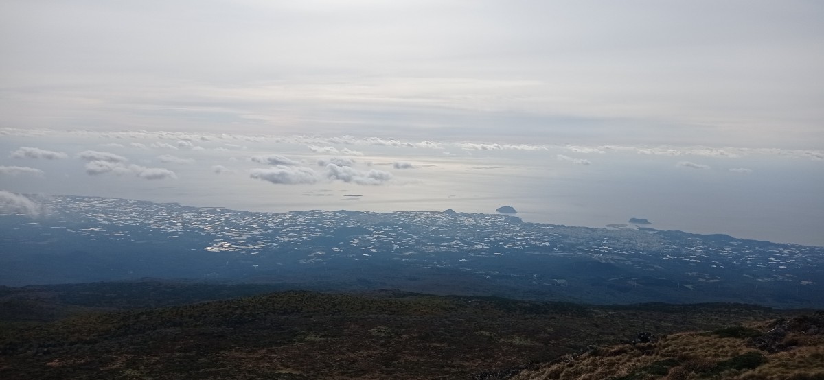 20251030_102822.jpg