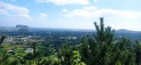 20251027_124030.jpg
