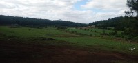 20251027_124706.jpg