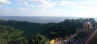 20251027_155356.jpg