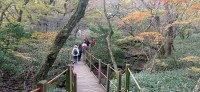20251030_084113.jpg