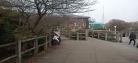 20251030_092926.jpg