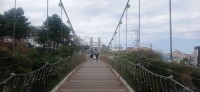 20251031_120331.jpg