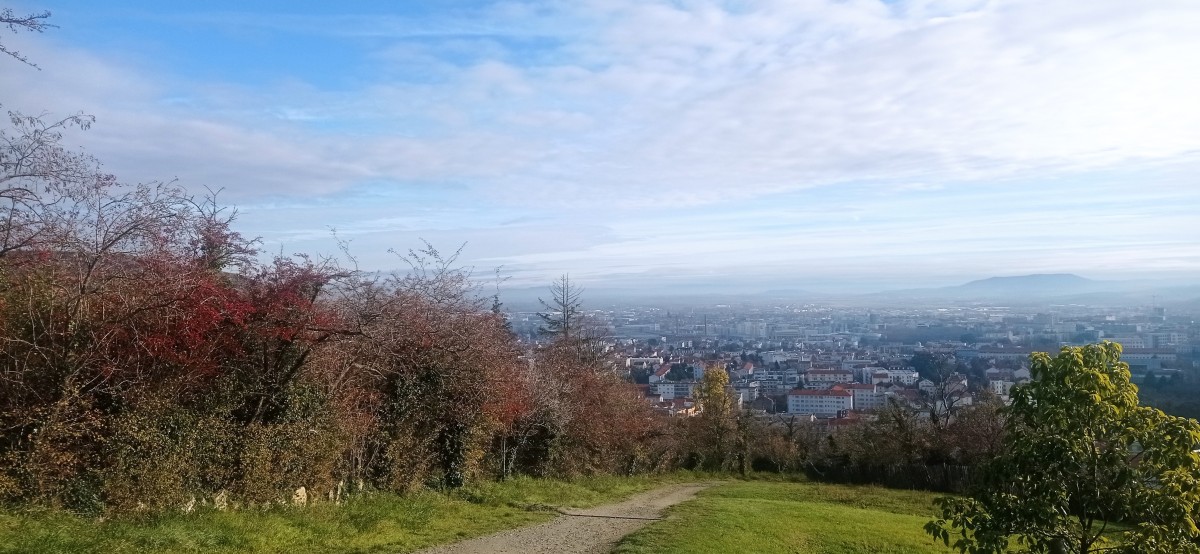 20251128_110518.jpg