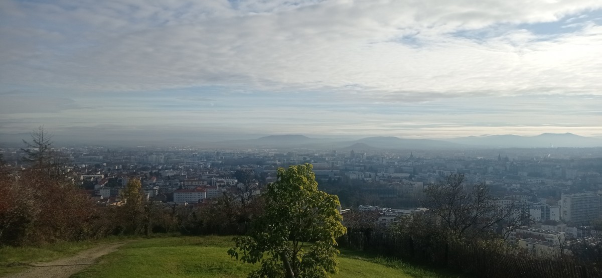 20251128_110521.jpg