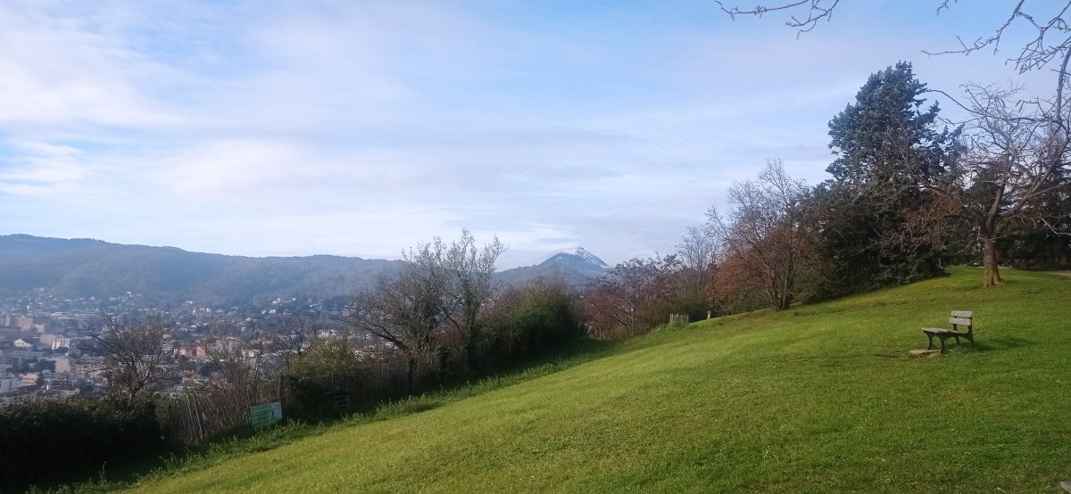 20251128_110558.jpg