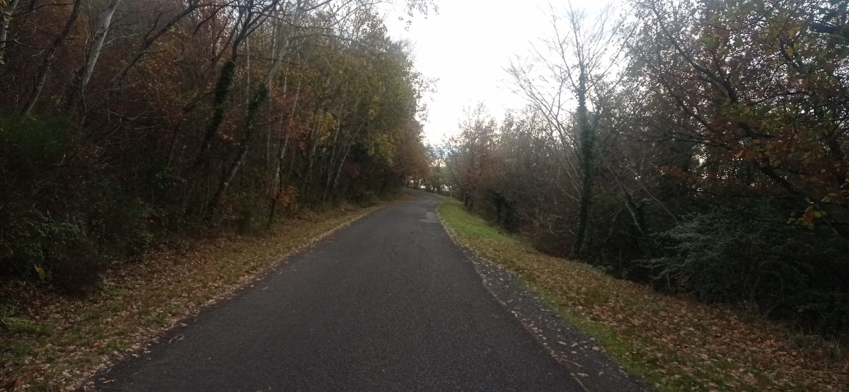 20251128_115143.jpg