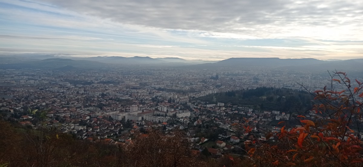 20251128_120219.jpg