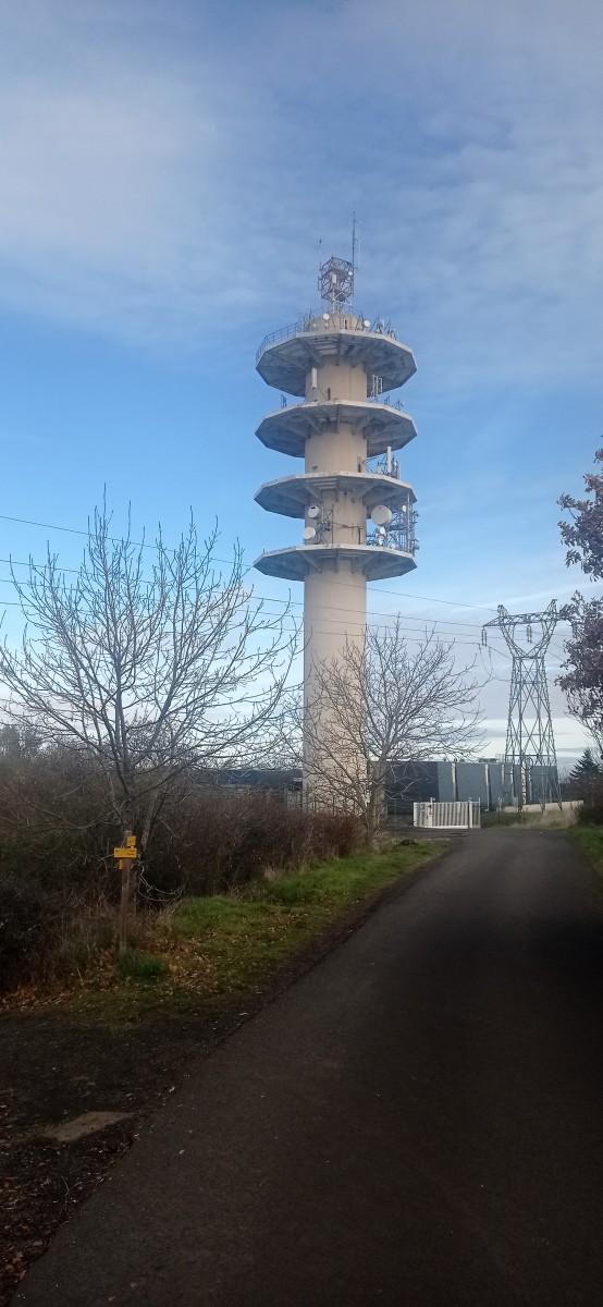 20251128_121332.jpg