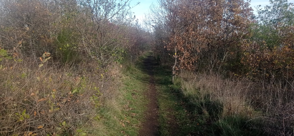 20251128_122519.jpg