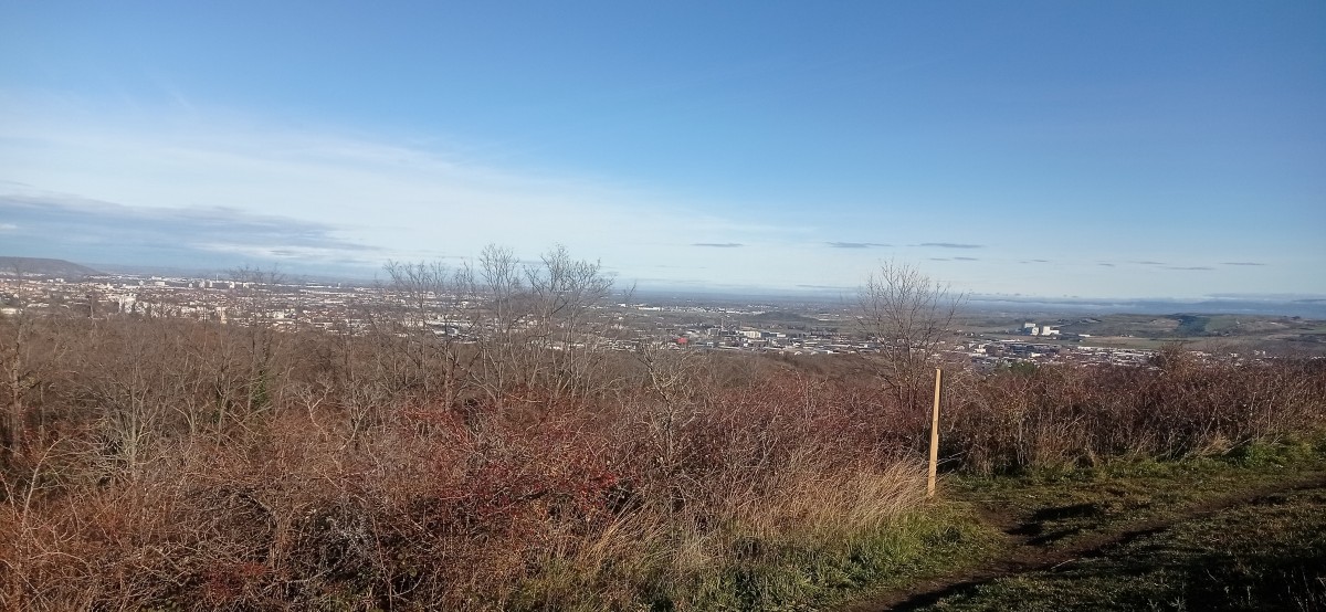 20251129_111315.jpg