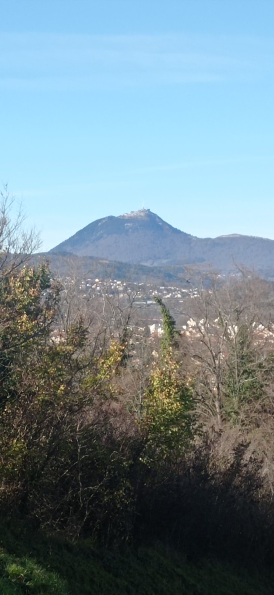 20251129_114156.jpg