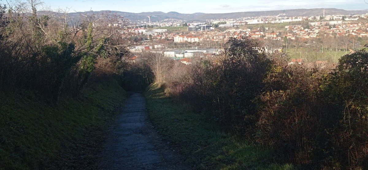 20251129_114239.jpg