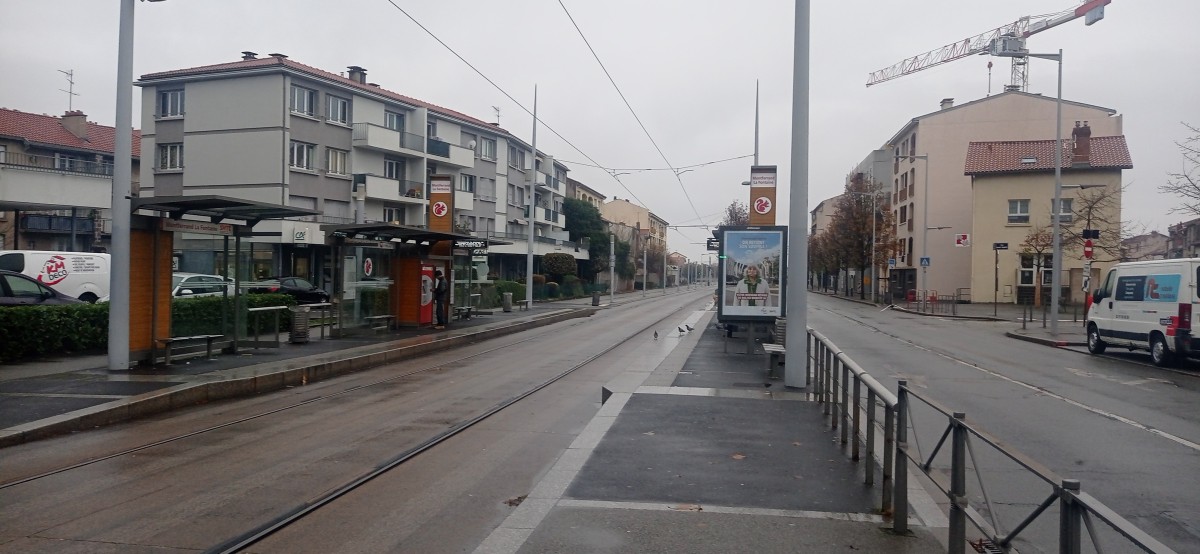 20251130_095214.jpg