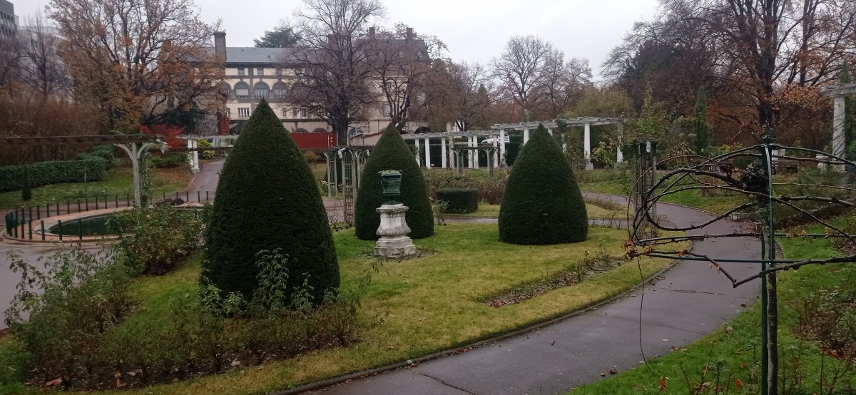 20251130_105430.jpg