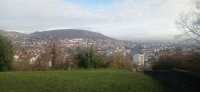 20251128_110213.jpg