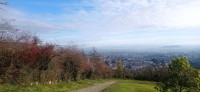 20251128_110518.jpg