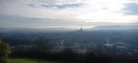 20251128_110523.jpg