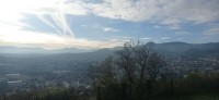 20251128_110527.jpg