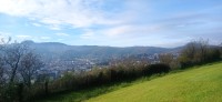 20251128_110530.jpg
