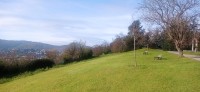 20251128_110532.jpg