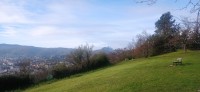 20251128_110558.jpg