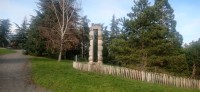 20251128_110643.jpg