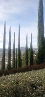 20251128_111132.jpg