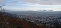 20251128_120154.jpg