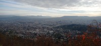 20251128_120219.jpg