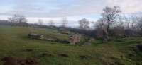 20251128_121843.jpg