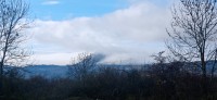 20251128_121922.jpg