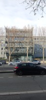 20251128_134559.jpg