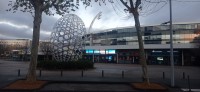 20251129_081358.jpg