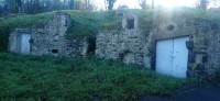 20251129_104939.jpg