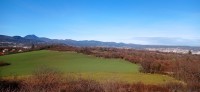 20251129_111310.jpg