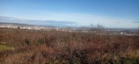 20251129_111312.jpg
