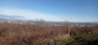20251129_111315.jpg