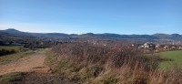 20251129_111331.jpg