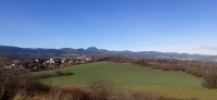 20251129_111531.jpg