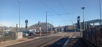 20251129_123240.jpg