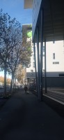 20251129_133300.jpg