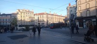 20251129_155231.jpg