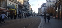 20251129_155342.jpg