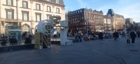 20251129_155643.jpg