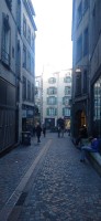 20251129_161147.jpg